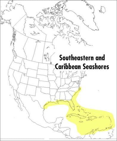 A Field Guide to Southeastern and Caribbean Seashores: Cape Hatteras to the Gulf Coast, Florida, and the Caribbean (Peterson Field Guides)