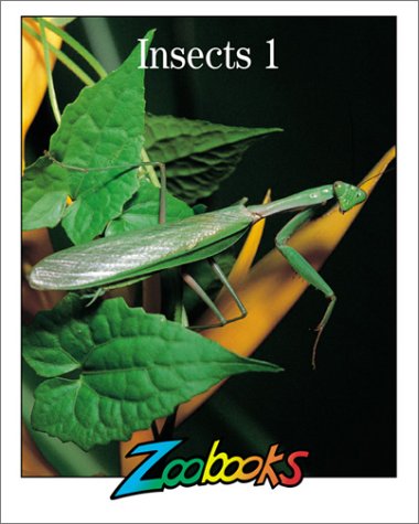 Insects 1 (Zoobooks Series)