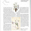 The Language of Flowers