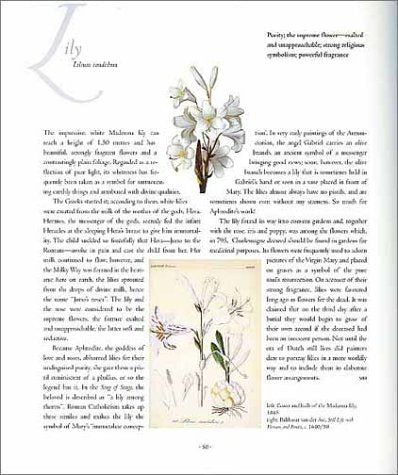 The Language of Flowers