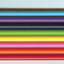 Anatomy Color-in Flash Cards: Ultimate 2-in-1 Learning Tool