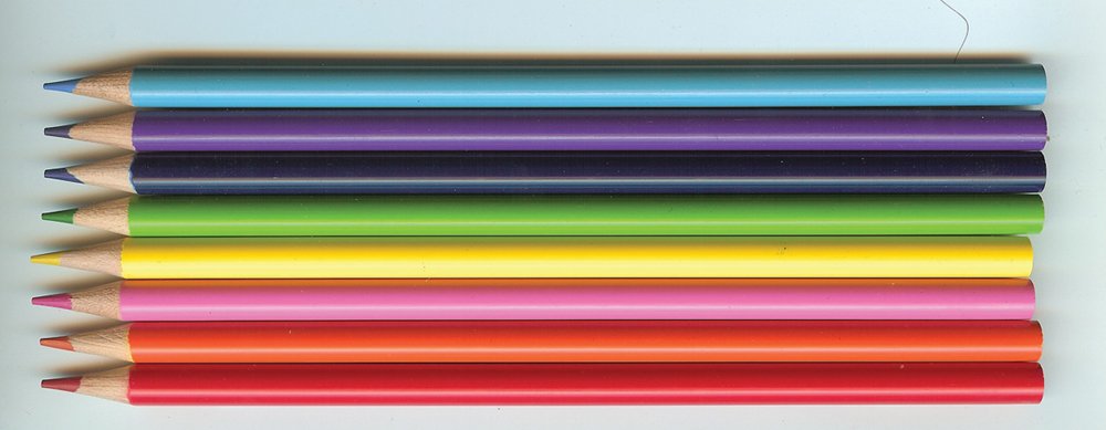 Anatomy Color-in Flash Cards: Ultimate 2-in-1 Learning Tool