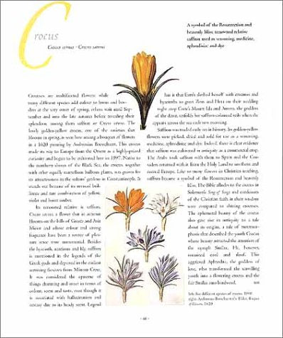 The Language of Flowers