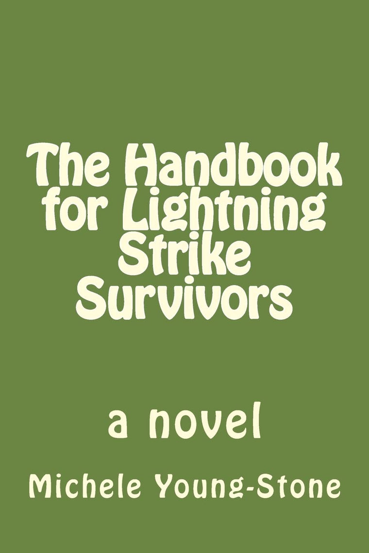 The Handbook for Lightning Strike Survivors: a novel