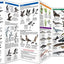Antarctic Wildlife: A Folding Pocket Guide to Familiar Species of the Antarctic and Subantarctic Environments (Nature Observation International)