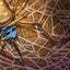 The Spider Who Saved Christmas