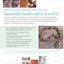 Bead on a Wire: Making Handcrafted Wire and Beaded Jewelry