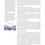 NIV Spiritual Formation Bible, The