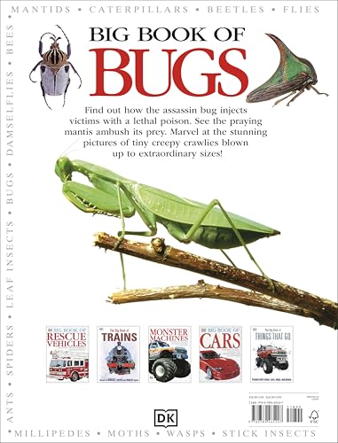 Big Book of Bugs