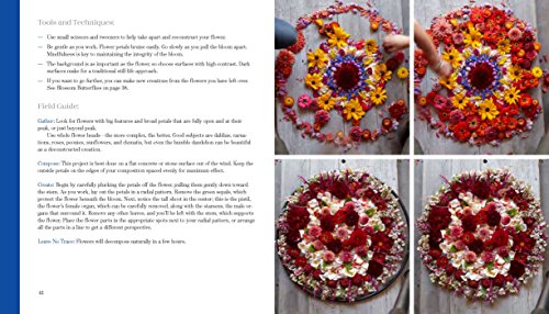 Foraged Art: Creating Projects Using Blooms, Branches, Leave