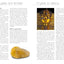 The Complete Crystal Handbook: Your Guide to More than 500 Crystals