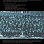 Schooling and Social Change 1964-1990