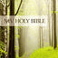 NIV, Value Outreach Bible, Paperback