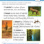 Evan-Moor Smart Start STEM Workbook, Grade 1, Science, Technology, Engineering, Math, Hands On Activities, Problem Solving, Critical Thinking, Fine Motor Skills, Sequencing, Animals, Homeschool