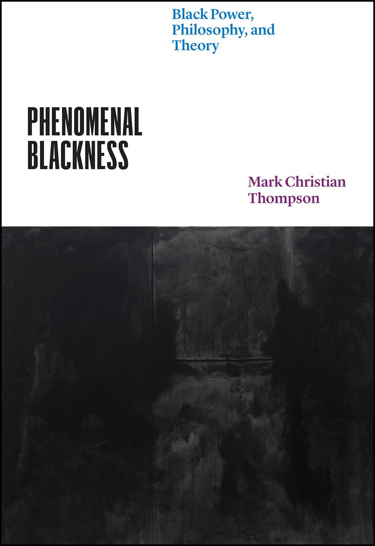 Phenomenal Blackness: Black Power, Philosophy, and Theory (Thinking Literature)
