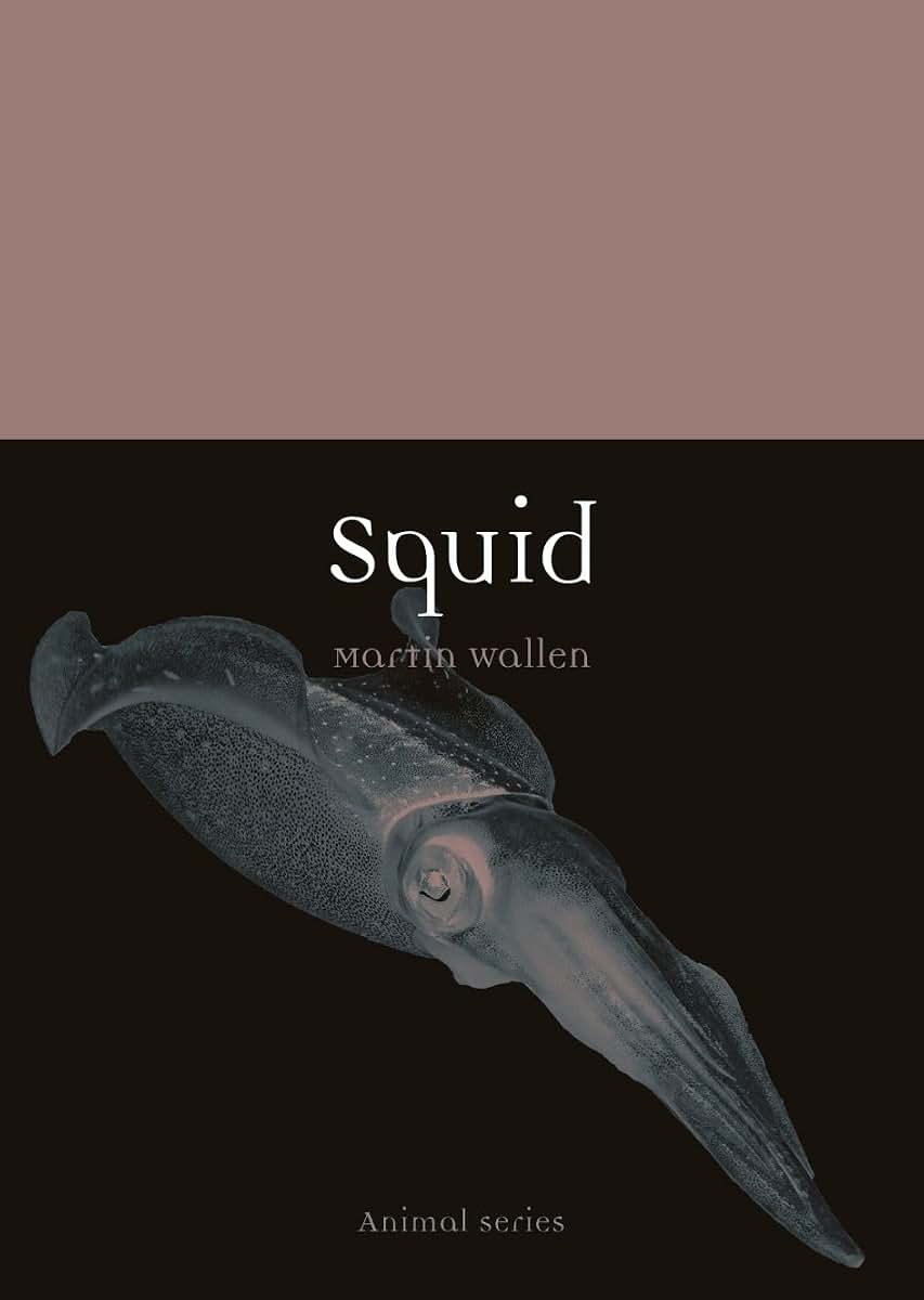 Squid (Animal)