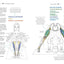 Yoga Anatomy Coloring Book: A Visual Guide to Form, Function, and Movement - An Educational Anatomy Coloring Book for Medical Students, Yoga Enthusiasts, Teachers & Adults (Volume 1)