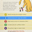 Danny and the Dinosaur and the Girl Next Door (I Can Read Level 1)