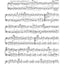 Beautiful Music for Two String Instruments: 2 Bases