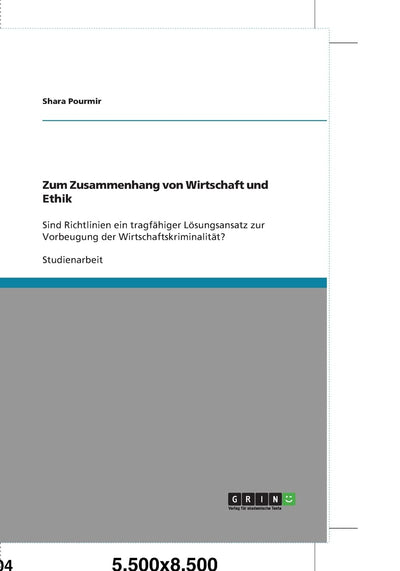 Zum Zusammenhang von Wirtschaft und Ethik: Sind Richtlinien ein tragfhiger Lsungsansatz zur Vorbeugung der Wirtschaftskriminalitt? (German Edition)