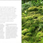 The Magical World of Moss Gardening