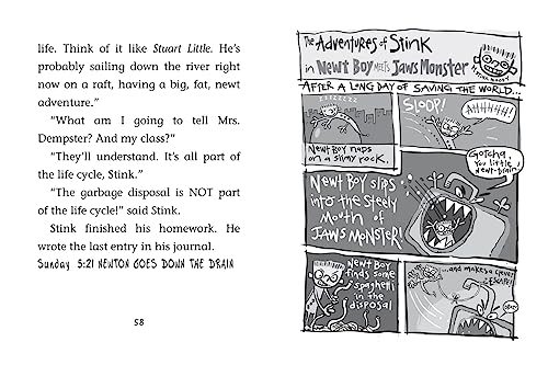 Stink: The Incredible Shrinking Kid