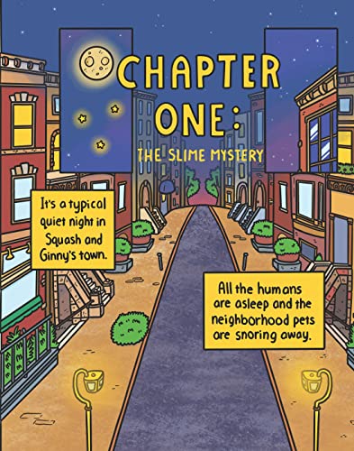 Cat & Cat Adventures: Journey into Unibear City: A Graphic Novel