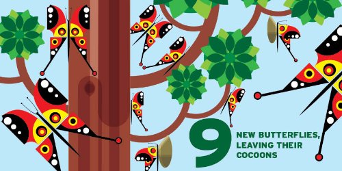 Counting in the Garden: Hardcover Popular Edition