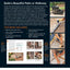 Black & Decker Complete Guide to Patios - 3rd Edition: A DIY
