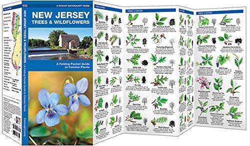 New Jersey Trees & Wildflowers: A Folding Pocket Guide to Familiar Plants (Wildlife and Nature Identification)