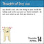 Thoughts of Dog 2022 Day-to-Day Calendar
