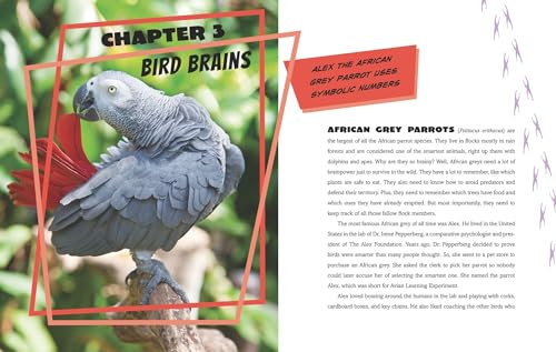 Calculating Chimpanzees, Brainy Bees, and Other Animals with Mind-Blowing Mathematical Abilities (Extraordinary Animals)