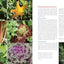 The Vegetable Gardener's Container Bible: How to Grow a Bounty of Food in Pots, Tubs, and Other Containers