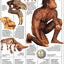 Eyewitness: Prehistoric Life