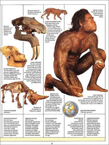 Eyewitness: Prehistoric Life