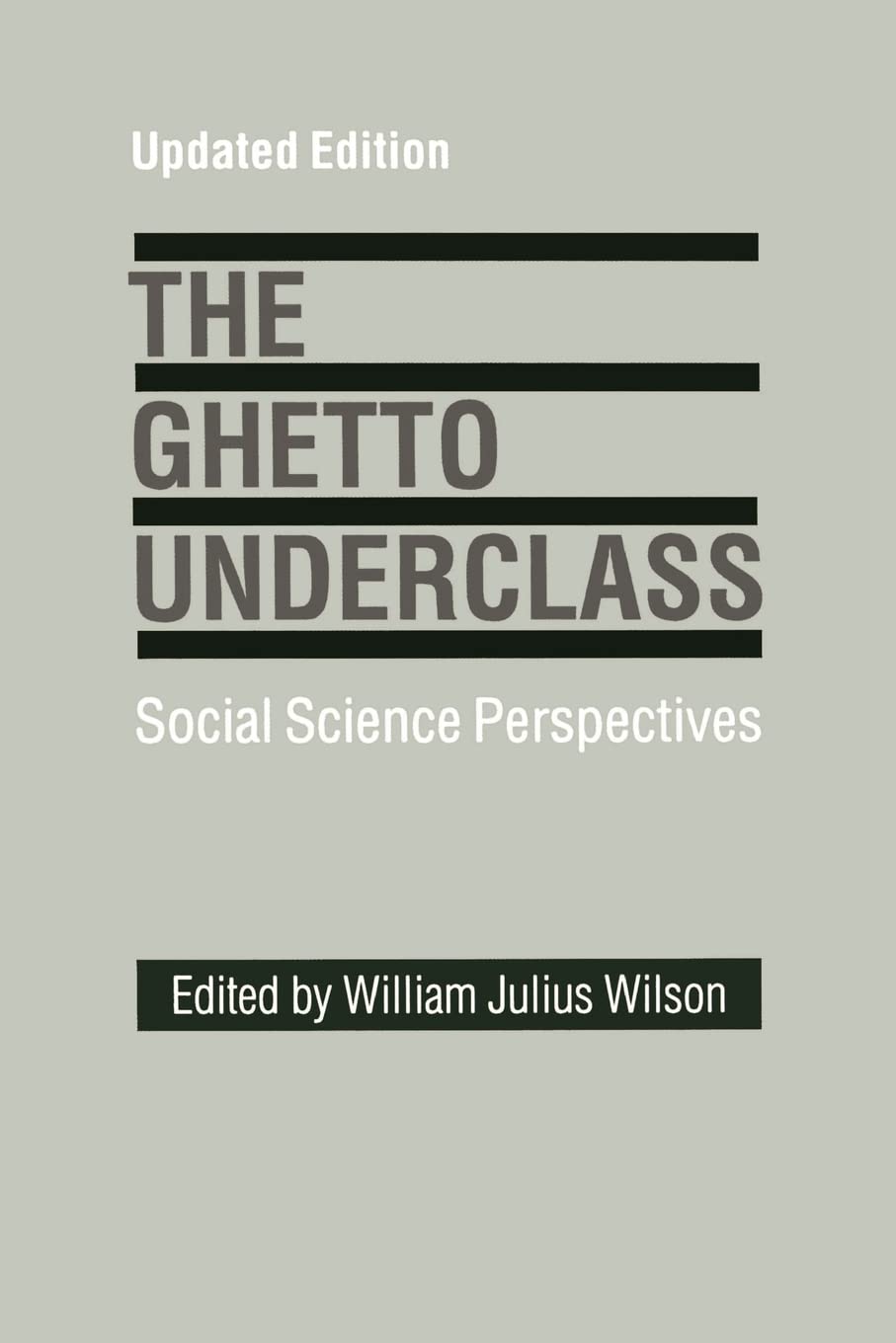 The Ghetto Underclass: Social Science Perspectives, Updated Edition