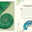 An Anthology of Intriguing Animals: Discover the Fascinating Truths of the Animal Kingdom
