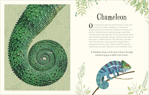 An Anthology of Intriguing Animals: Discover the Fascinating Truths of the Animal Kingdom
