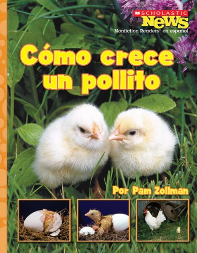 Como crece un pollito / A Chick Grows Up (Scholastic News Nonfiction Readers En Espanol) (Spanish Edition)