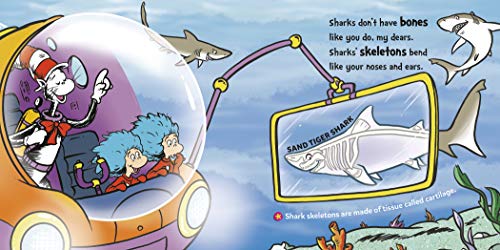 Dr. Seuss Discovers: Sharks