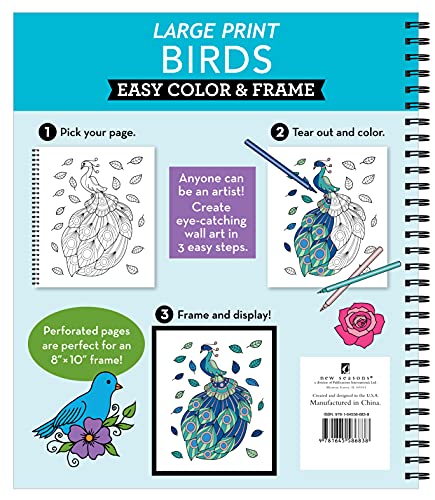 Large Print Easy Color & Frame - Birds (Stress Free Coloring Book)
