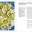 Nothing Fancy: Unfussy Food for Having People Over by Roman,