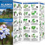 Alaska Trees & Wildflowers: A Folding Pocket Guide to Familiar Plants (Wildlife and Nature Identification)