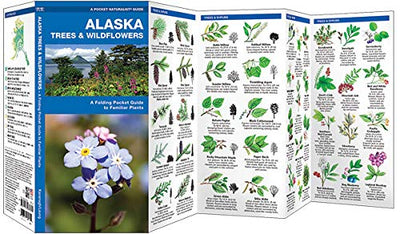 Alaska Trees & Wildflowers: A Folding Pocket Guide to Familiar Plants (Wildlife and Nature Identification)