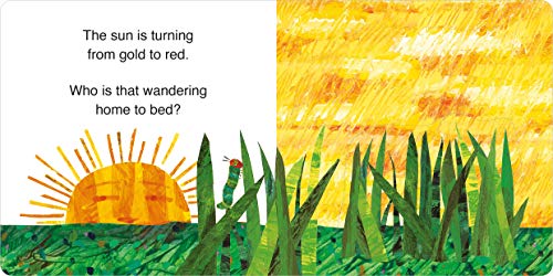 Sleep Tight Very Hungry Caterpillar ( Lift the Flap)