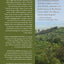 Conflict and Peacebuilding in the African Great Lakes Region
