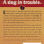 The Rescue (Dog Whisperer)