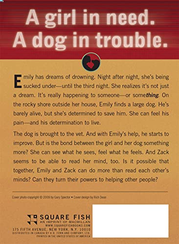 The Rescue (Dog Whisperer)
