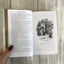 David Copperfield (Macmillan Collector's Library)