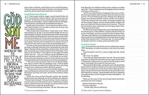 NIV, Beautiful Word Bible, Large Print, Hardcover: 500 Full-